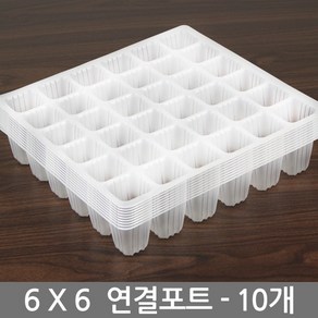 세인화분 연결 포트 10P 세트 - 씨앗 파종 육묘 재배 모종판 모종 트레이 포트 묘목 원예용 고추모종포트, 연결포트, 10개