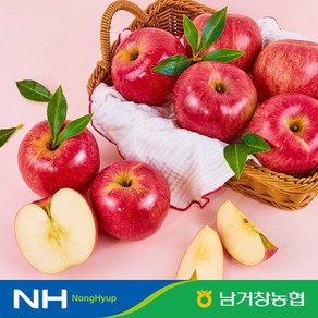 [남거창농협]거창사과 5kg(소과)24-26과 내외, 2개