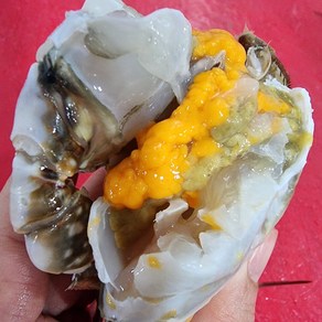 [일품꽃게] 진도서망 프리미엄 국내산 활꽃게 알배기 암꽃게, 1박스, 2kg (9~12미)