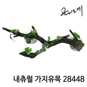 내츄럴 가지유목 28448, 1개