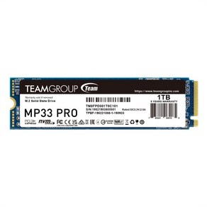 TeamGoup New MP33 PRO M.2 NVMe 내장형 SSD (1TB)