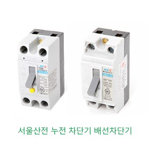 서울산전 누전차단기 배선차단기 2P 15A 20A 30A, 배선 20A(산업용), 1개