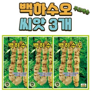 씨앗팜 백하수오 씨앗 3개(50립x3) 민속채 약초 하수오 씨앗, 3개