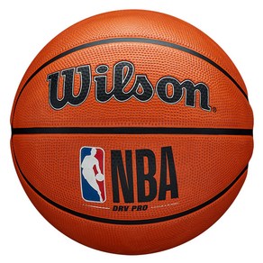 윌슨 NBA DRV 프로 농구공 WTB9100XB07, 1개