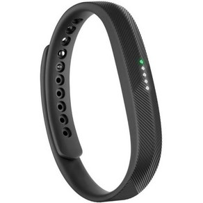 Fitbit Flex 2 블랙(미국 버전), 검은색