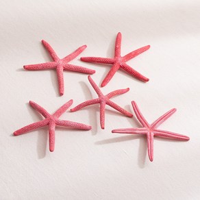 [데코봉봉] 레드 불가사리 5개 9cm 바다 오브제 여름소품