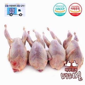 (당일출돼지) 해썹 후레쉬 메추리고기 메추리10마리, 750g, 1개