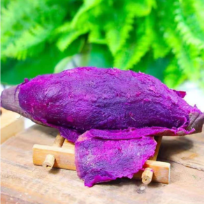 [품평회대상] 100박스한정 천상의맛 프리미엄 자색고구마, 1개, 3kg(한입)