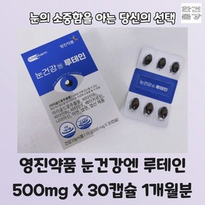 영진약품 눈건강엔 루테인 500mg X 30캡슐 눈건강 침침한눈 노안, 1박스, 30정