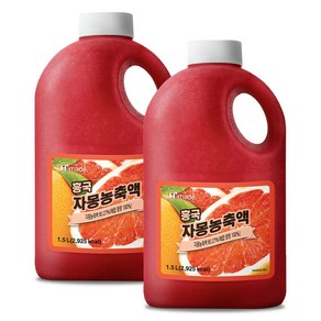 흥국에프앤비 자몽 농축액, 1.5L, 2개