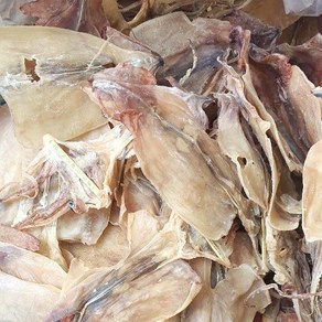 홍쓰건어물 파품오징어 500g (7~12)마리 원양산(국내가공), 1개