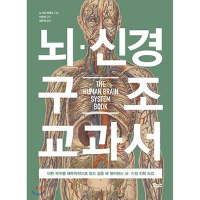 뇌 신경 구조 교과서:아픈 부위를 해부학적으로 알고 싶을 때 찾아보는 뇌·신경 의학 도감