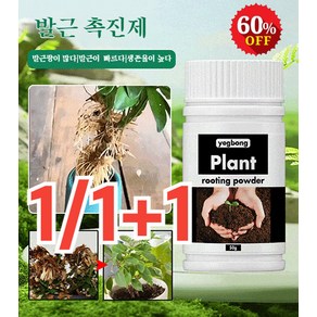 1/1+1과수 이식 발아 촉진제 발아 영양 분말 꺾꽂이용 식물 발근제 뿌리 보호제, 100g*1+1+1, 2개