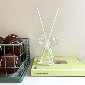 메종 머쉬룸 실내 디퓨저 / 11Scent, 1개, 200ml, Enough Rest(이너프 레스트)
