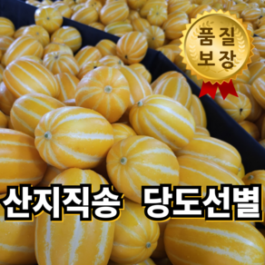 [고당도 선별] 프리미엄 산지직송 성주 꿀 참외 꼬마 못난이 특품, 1박스, 특품 3kg