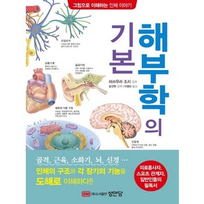 해부학의 기본:의료종사자 스포츠 관계자 일반인들의 필독서