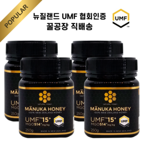 내추럴허니 뉴질랜드 마누카꿀 UMF15 250g 4개