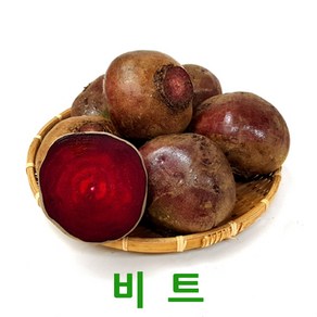 국내산 비트10kg 1박스, 10kg, 1개