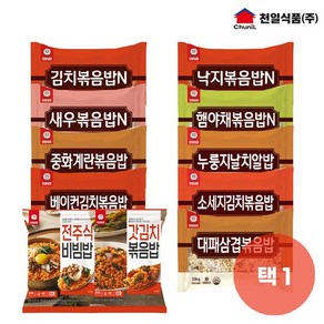 천일식품 볶음밥 250g 단품 골라담기, 1개, 전주식비빔밥 250g