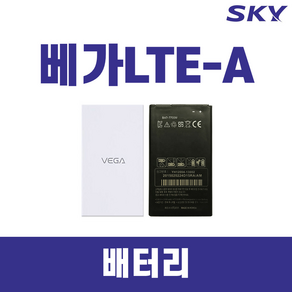 SKY 베가 LTE A IM-A880 정품 중고배터리 BAT-770M, SKY 베가 LTE-A, 1개