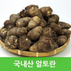 국내산 토란10kg 알토란 웰빙푸드 싱싱지오, 국내산 알토란(보통)10kg, 1개