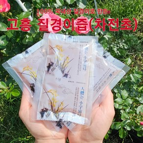 100% 국내산 고흥 질경이즙 (차전초 차전자), 30개, 100ml