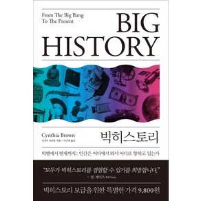 빅히스토리(Big Histoy):빅뱅에서 현재까지, 바다출판사, 신시아 브라운