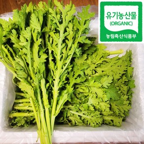 100% 유기농 친환경 쑥갓 600g, 1박스