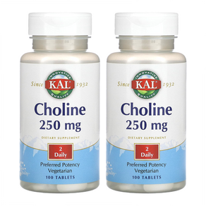 KAL 콜린 250mg 100정 X 2개