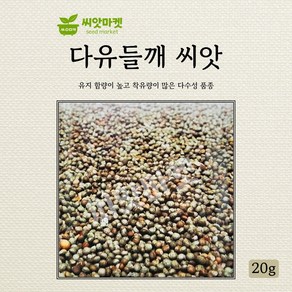 다농 다유들깨 씨앗 20g, 1개