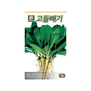 (DN) 고들빼기 씨앗(1g), 1개