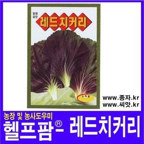 헬프팜 레드치커리 900립 종자 씨앗 동원농산종묘, 1개