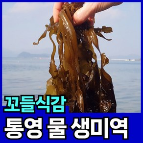 꼬들식감 물미역 생미역 자연산 핏시드, 1개, 3kg