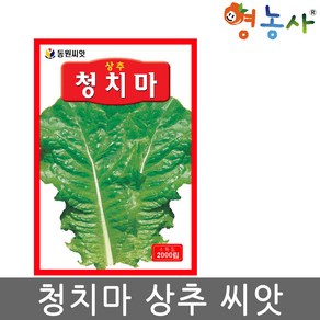 청치마 상추 씨앗 2000립 쌈채소 상추씨 종자 키우기, 1개