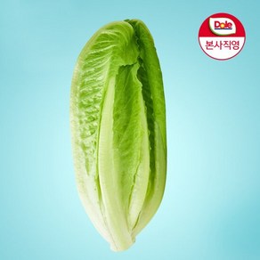 [Dole 본사직영] 알뜰형 로메인 1kg, 1개