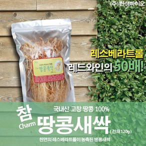 국내산 땅콩새싹 건채 100g 라스베라트롤 함유, 1개