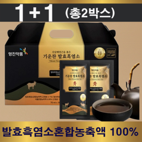 1+1 산삼배양근 발효흑염소 30포 x 2박스, 2개, 210ml