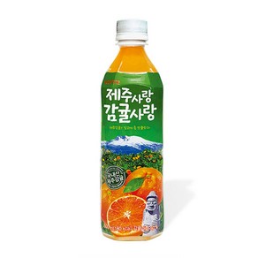 롯데칠성음료 제주감귤 500ml x 24펫, 24개