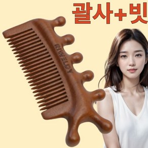 리웰디 투인원 두피 괄사 마사지 빗