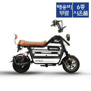 레이윙 디스커버리 와일드 애견 전동스쿠터 S20 48V 750W 미니스쿠터