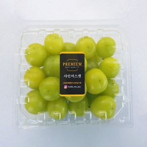 고당도 국내산 알알이 샤인머스캣 도시락 과일 못난이 거창 망고포도, 1개, 500g