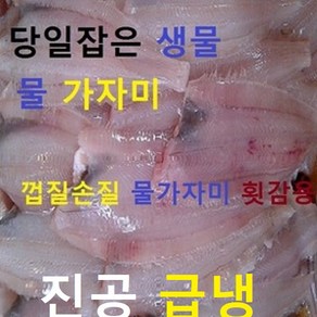 (쌍다리상회)가자미 물가자미 껍질손질 세꼬시 횟감1kg 진공급냉