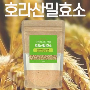 호라산밀 효소 220g 캐나다산 호라산밀 효소 분말 2개월분, 220g x 4팩(8개월분), 4개