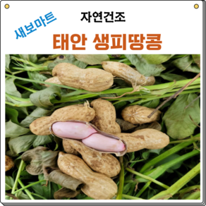 새보마트 국산 자연건조 생피땅콩 1kg