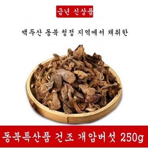 야생 백두산 건조 개암버섯 밤버섯 특산품 250g 고급식재료 약용버섯 EMS특송