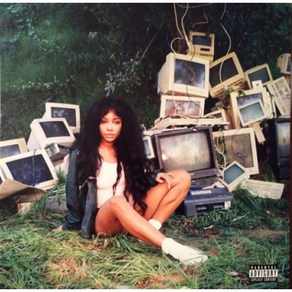 (당일발송) SZA 시저 lp - ctl geen vinyl