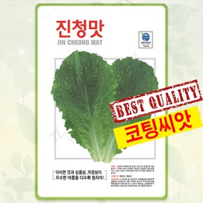 청치마 상추씨앗 300립 진청맛 유럽 청상추 종자 씨 쌈 채소 봄 여름 가을 파종 상추씨, 1개