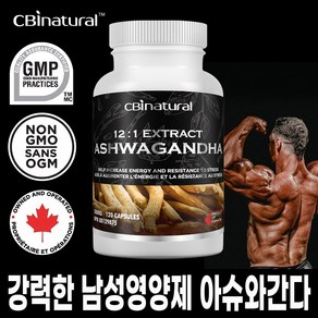 12배 고농축 아슈와간다 500mg 120캡슐 4개월 아쉬아간다 인도산삼 캐나다 GMP 설비 가공 캐나다 식약처 NPN 인증 아쉬와간다 활력영양제