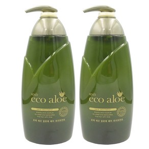 (1+1 1세트)로제 에코 알로에 헤어 트리트먼트 (헤어팩), 2개, 760ml
