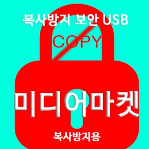 복사방지 USB 스틱형/카드형 복제방지 데이터 파일보안프로, 1개, 32GB